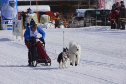 Lenk 2013